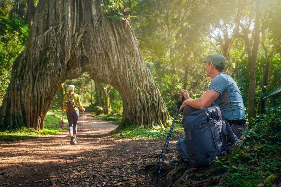 Kilimanjaro National Park