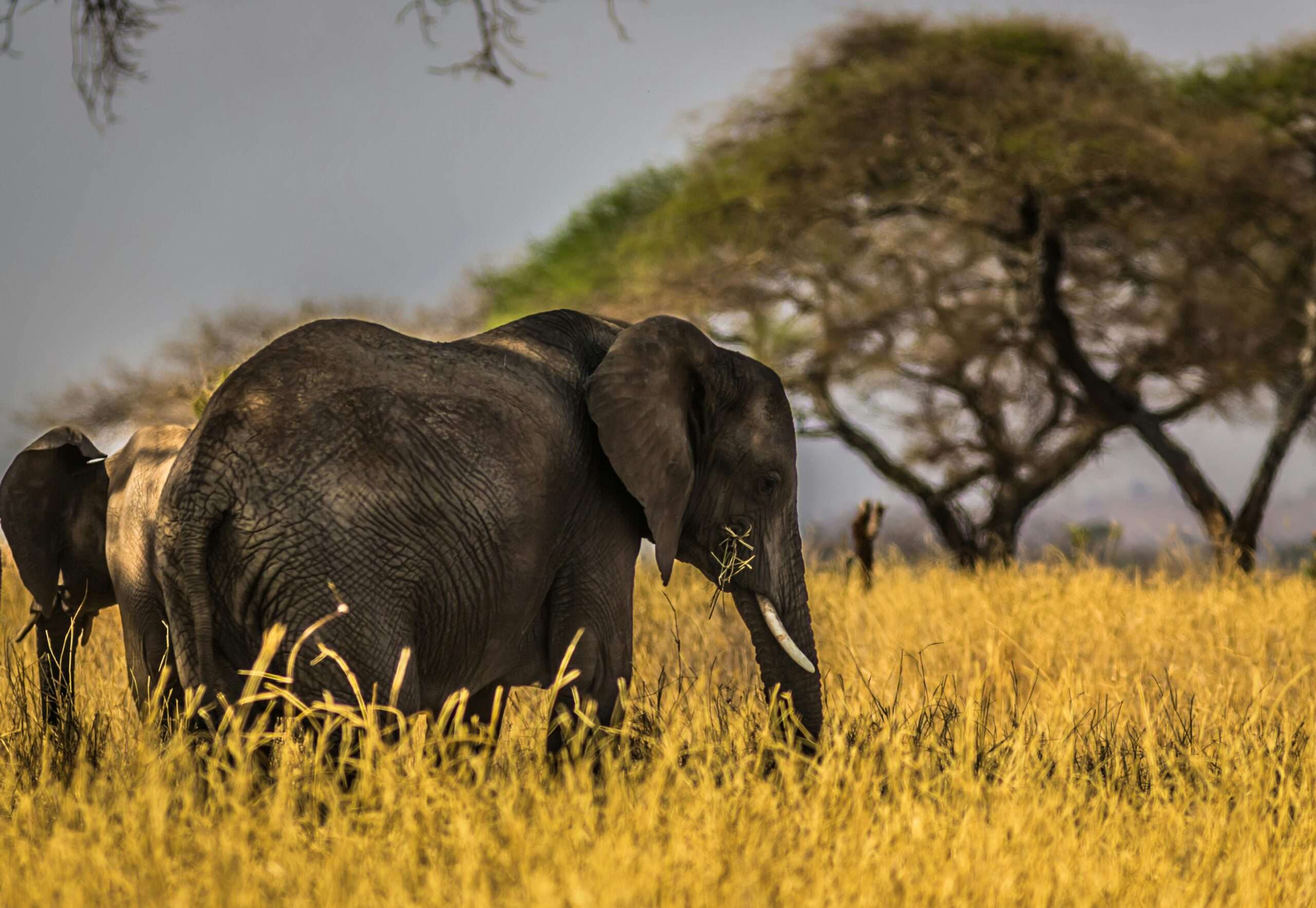 arusha-national-park-scaled
